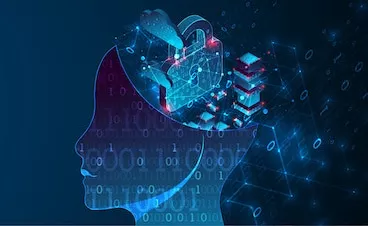 What should you know about the New EU AI Regulation